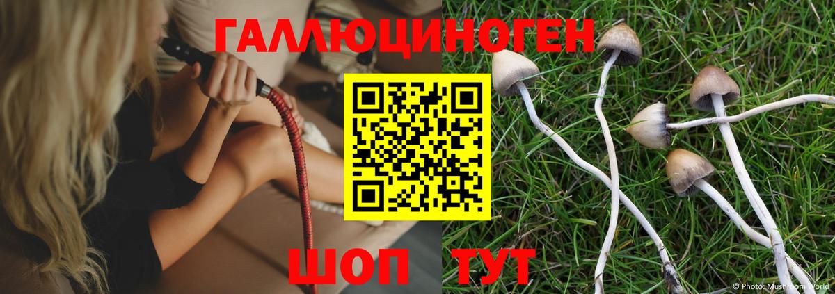 Галлюциногенные грибы Cubensis Тверь